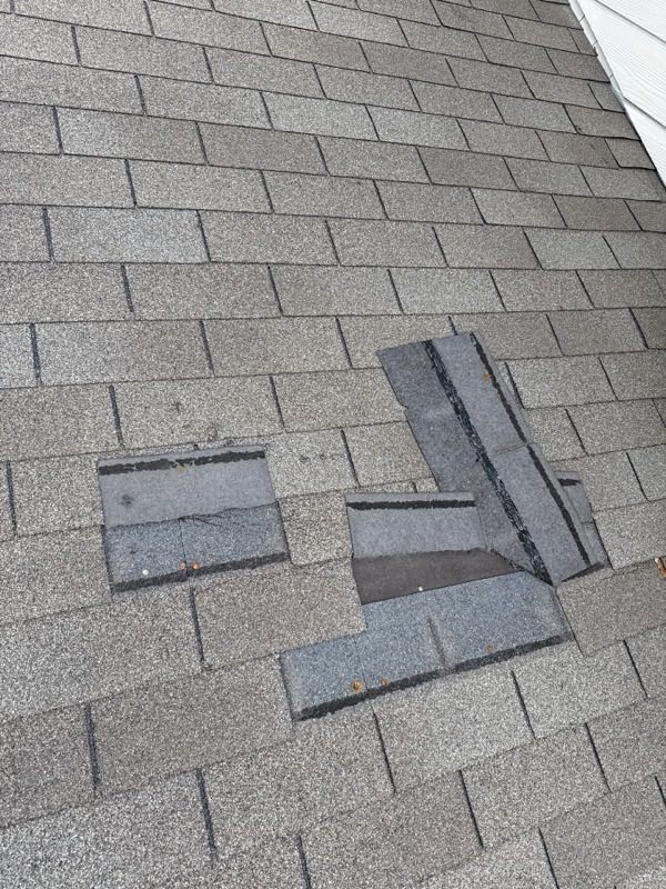 Shingles displaced, exposing the course underneath