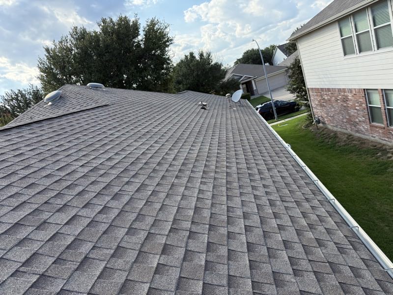 Ridge line above a brick elevation